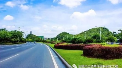 道路綠化中，城市干道植物應怎樣配置？