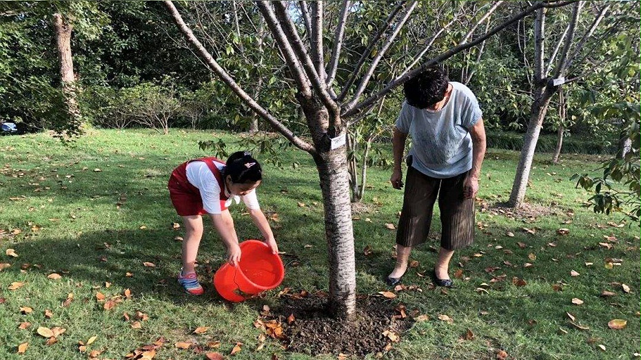 室外植樹除蟲