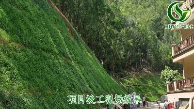 東莞市國際公館邊坡綠化工程今日圓滿驗收