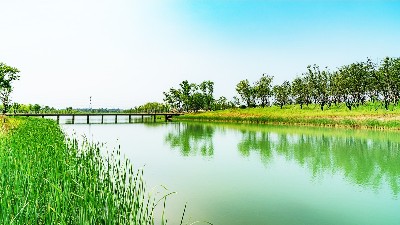 景觀生態(tài)學(xué)，自然保護(hù)與生態(tài)恢復(fù)三者間的關(guān)系