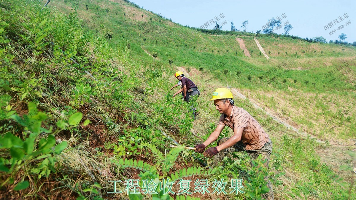 梅汕高鐵潮汕段鐵路邊坡修復工程