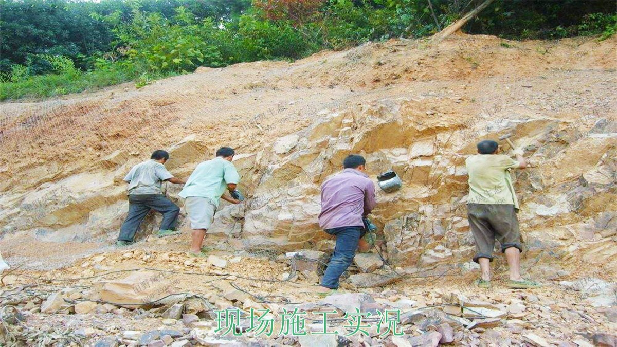 高州市泗水鎮(zhèn)林豐石場(chǎng)生態(tài)修復(fù)工程